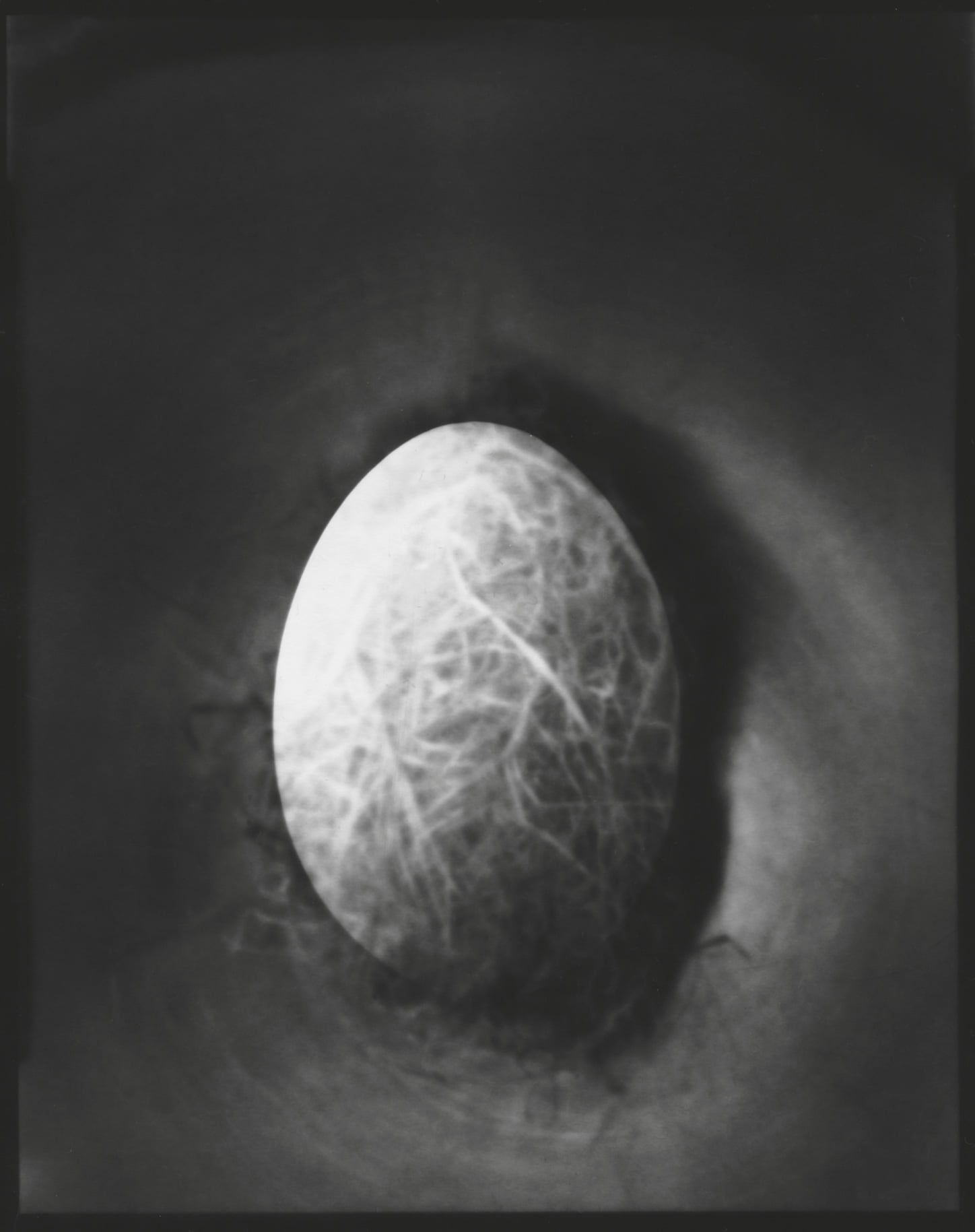 Tine Edel | Das Ei, 2016 | Belichtung eines 4 x 5“ Papiernegativ, 13 x 18 cm analoges Fotopapier von Wephota