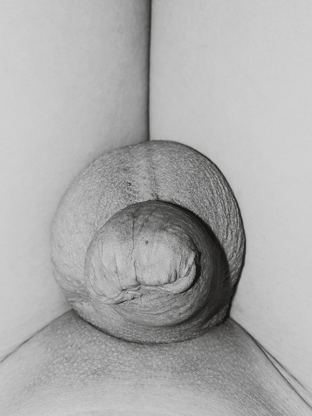 Hayahisa Tomiyasu | Genitalien, 2011 | 8 Bilder, 12 x 16 cm, Pigment Print 75