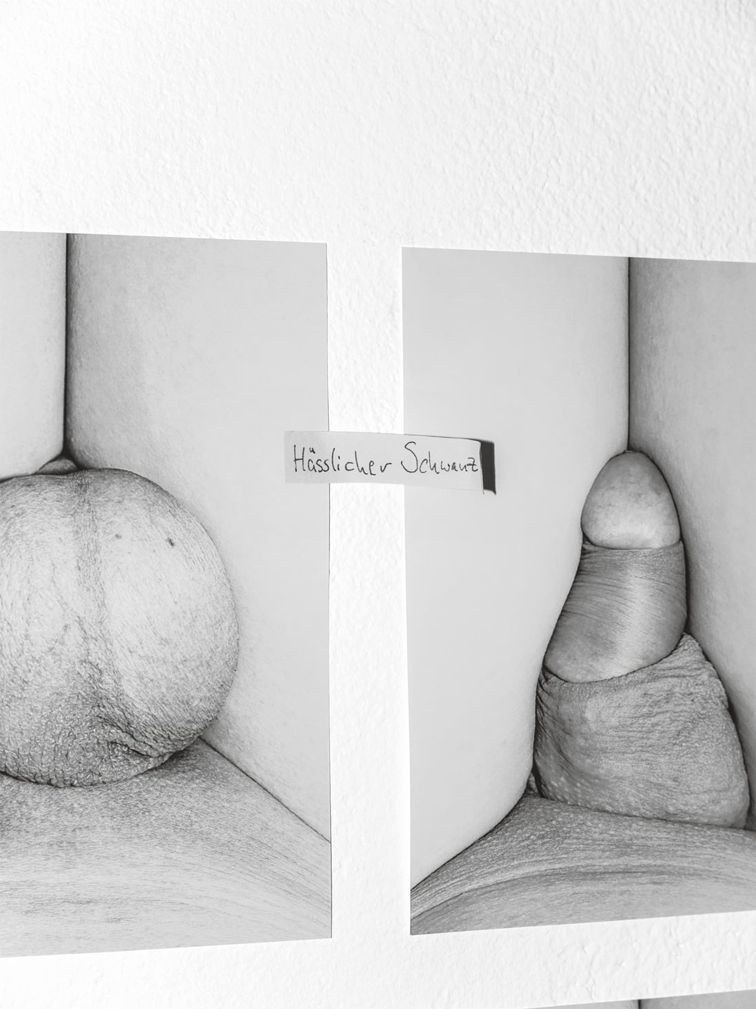 Hayahisa Tomiyasu | Hässlicher Schwanz / Reaktion 3, 2015 | 18,7 x 25 cm, 1 Bild, Pigment Print